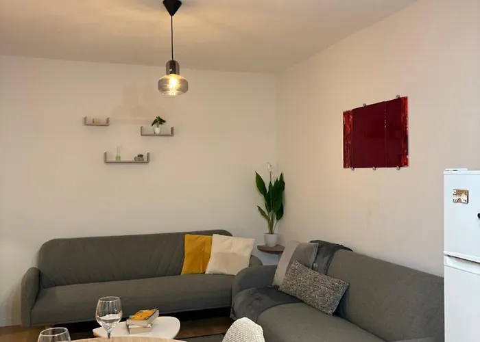 Appartement Albi 1